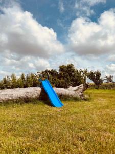 um escorrega azul num campo ao lado de uma árvore caída em Miniature oast house em Ash