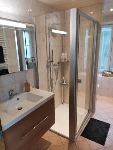uma casa de banho com um chuveiro e um lavatório. em Aloha Appartement de vacances au Bouveret em Port-Valais