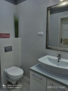 ギジツコにあるApartament "Krokus" Giżyckoのバスルーム(洗面台、トイレ、鏡付)