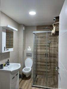 a bathroom with a toilet and a sink and a shower at Vukov Apartman in Banja Koviljača