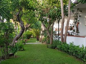 un jardín con árboles y césped verde en Litto Appartamenti, en Tropea
