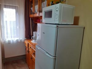 a microwave on top of a refrigerator in a kitchen at Casa Roberta in Arieşeni