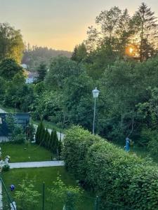 un giardino con siepe e luce di strada di Nici´s Appartements a Litschau