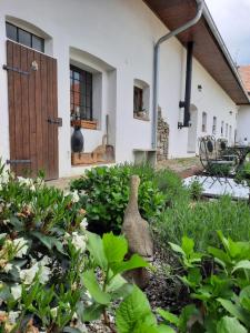 Giardino di Statek u kapličky