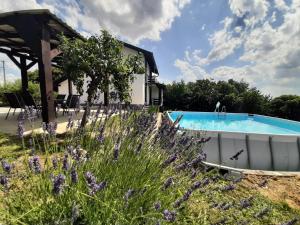 un jardín con flores púrpuras y una piscina en Holiday Home Nirvana en Gornji Mihaljevec