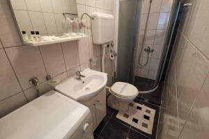 een kleine badkamer met een toilet en een wastafel bij Apartment Đozić in Srebrenica