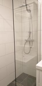 a shower with a glass door in a bathroom at Haus am Sonnenberg,Todtnauberg, Ferienwohnung 105, direkt am Skilift-Skipiste, Nähe Feldberg in Todtnauberg +25 photos