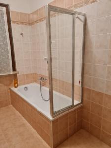 een badkamer met een bad en een glazen douche bij Casa Andrè in Pescantina