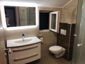 uma casa de banho com um lavatório, um WC e um espelho. em Excellent stone house-Pet friendly em Privlaka