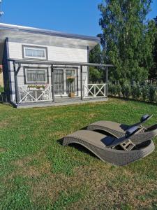 a sculpture on the grass in front of a house at Sapņi in Kolka