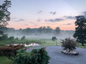 a view of a garden with fog in the background at Hidingsta gård B&B in Örebro
