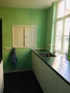 a kitchen with a sink and a green wall at Stadsvilla met patio in centrum Maastricht in Maastricht