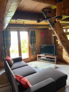 uma sala de estar com um sofá e uma TV em Le petit chalet des Greys em Meillerie