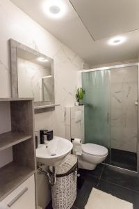 La salle de bains est pourvue d'un lavabo, de toilettes et d'une douche. dans l'établissement Loni's Place Apartments, à Ljubljana
