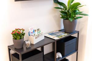 a black console table with two plants on it at Loni's Place Apartments in Ljubljana