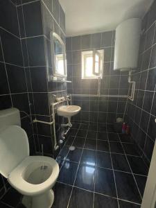 uma casa de banho com um WC e um lavatório em Apartament Andrei em Costinesti