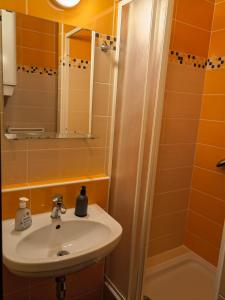 a bathroom with a sink and a shower at Apartmánový dom Kamzík apt. 16 in Donovaly