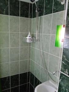 ハイドゥソボスローにあるLevendulás Házのバスルーム(シャワー、トイレ付)