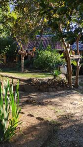 a garden with a stone wall and a tree at Pousada do Sol in Alto Paraíso de Goiás +8 photos