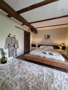 RichtolsheimにあるChambre indépendante n3 - Bretzel et Bergamoteのベッドルーム1室(大型ベッド1台、大きなラグ付)