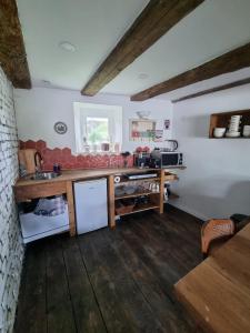 uma cozinha com um balcão e um lavatório num quarto em Chambre indépendante n3 - Bretzel et Bergamote em Richtolsheim
