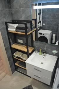 a bathroom with a sink and a mirror at Apartament Kamila Ostróda in Ostróda
