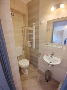 Koupelna v ubytování Fiesta Apartman