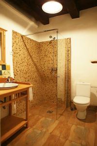 a bathroom with a shower with a toilet and a sink at La Hansi in Crit in Criţ