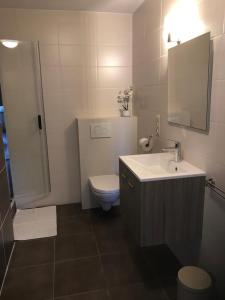 a bathroom with a toilet and a sink and a shower at Huis Marlin in De Haan +14 photos