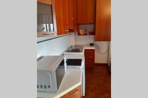 eine kleine Küche mit einer Spüle und einer Mikrowelle in der Unterkunft Dalla Bosh 2 in Parma