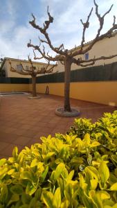 Foto sihtkohas L'Escala asuva majutusasutuse Magnolia l'Escala 2, casa con piscina y barbacoa a 100m de la playa galeriist