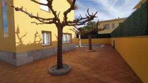 Foto sihtkohas L'Escala asuva majutusasutuse Magnolia l'Escala 2, casa con piscina y barbacoa a 100m de la playa galeriist