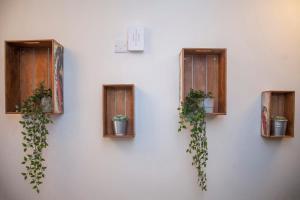 a wall with three windows with plants in them at higgihaus #3a & 3b 8 Bed Sleeps up to 22 Big Groups Hip Location in Bristol