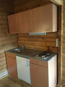 una pequeña cocina con fogones y fregadero en Heidi Cabin, en Reykholt