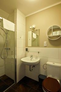 ein Bad mit einem WC, einem Waschbecken und einer Dusche in der Unterkunft Pension Aspen in Železná Ruda
