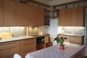Kuchyň nebo kuchyňský kout v ubytování Rodinný apartmán v centru Prahy