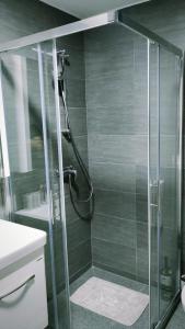 um chuveiro com uma porta de vidro na casa de banho em ANGELIKATOS em Golubac