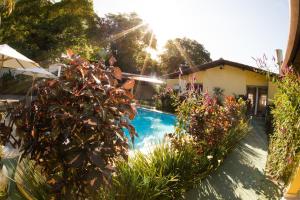 a house with a swimming pool and some plants at Pousada Viva Ubatuba - GRUPO VIVA UBATUBA in Ubatuba