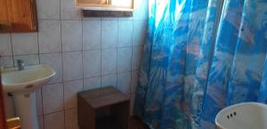 baño con lavabo y cortina de ducha en Hospedaje Picoyo, en Pucón