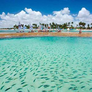 ein großes Gewässer mit einem Strand mit Segelbooten in der Unterkunft PORTO GALINHAS TODO MOBILIADO 5 minutos a pé da praia in Porto De Galinhas