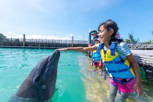 een klein meisje dat reikt naar een dolfijn in het water bij Marine Piazza Okinawa in Motobu