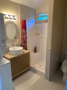 een badkamer met een wastafel, een douche en een toilet bij Amitabha Wine Country Cottage in Santa Rosa