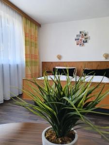 Fotografie z fotogalerie ubytování Kurhotel Anders v destinaci Bad Füssing