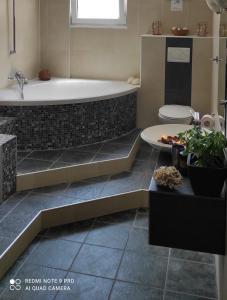 a bathroom with a bath tub and a toilet at Elenas Apartments in Plataria +63 photos