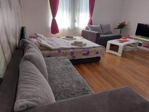 a living room with a couch and a table at Apartman Stefix in Banja Koviljača