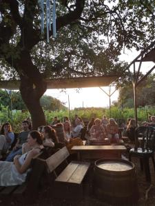 un grupo de personas sentadas en bancos bajo un árbol en בין האלונים, en H̱arashim