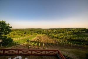 Gallery image of Edelin Wine House in Edelény