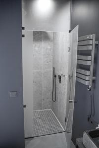 a shower with a glass door in a bathroom at Wakepond atostogų slėnis in Anykščiai +52 photos