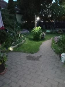 Vonkajšia záhrada v ubytovaní Lenart House 1