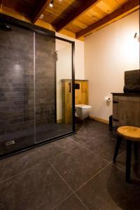 La salle de bains est pourvue d'une douche en verre et de toilettes. dans l'établissement B&B Fagus, à Buggenhout
